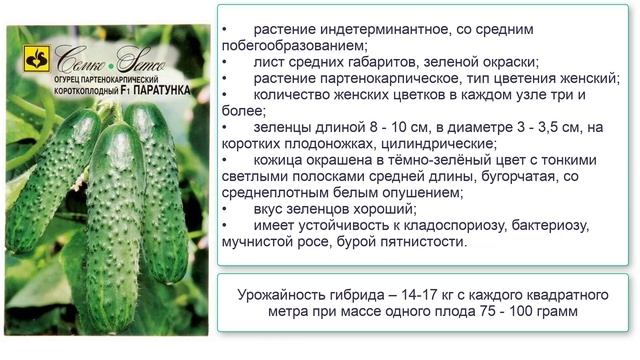 Огурцы Паратунка