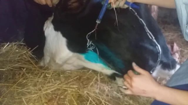 вв-е Флуниджекта через центральный катетер смотреть онлайн