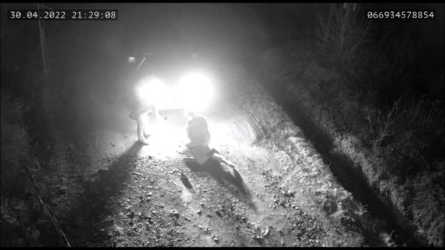 Избиение зоозащитницы