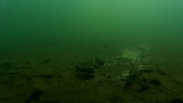 Рыбалка ловля ельца р. Н. Тунгуска подводная съёмка в реальном времени 2. смотреть онлайн