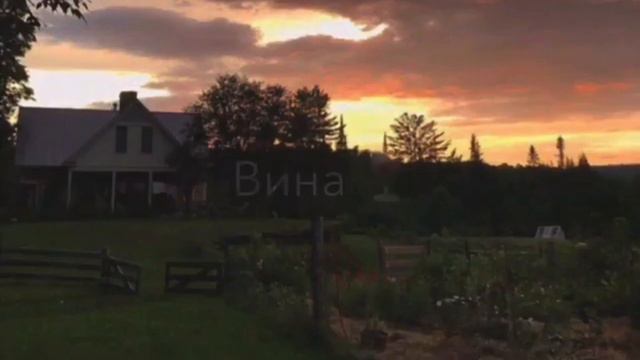 ВИНА БОКАЛ БОКАЛ ВИНА🍷 🎶 /оцените трек 2020 смотреть онлайн