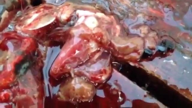 trim 05E76682 8BD4 4898 AE2F 66DF88CFAC2B смотреть онлайн