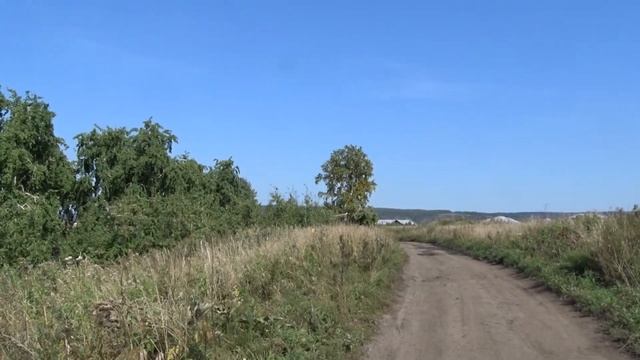 Выпуск Ястреба-перепелятника смотреть онлайн