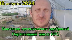 Внесение органических удобрений в теплице.
Навоз - перегной