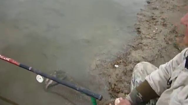 паймал рыбу на 5 кг смотреть онлайн