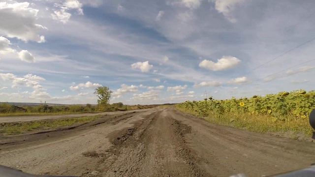 Вдоль подсолнухов у котлована смотреть онлайн