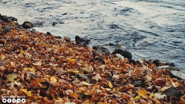 Лечебная Музыка для Снятия Стресса, Усталости, Депресии, Негатива, Детокс негативных эмоций смотреть онлайн