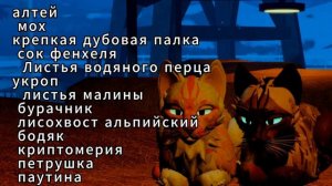 `Как принять роды у королевы? В Warriors cat. Ролевой ролик по теме:«целительство»`-WC:UE