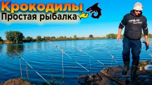 Рыбалка на донки крокодил с тверской кормушкой - проще некуда. Простая и эффективная ловля рыбы.