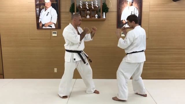 Combination #19. Yakusoku Kumite смотреть онлайн