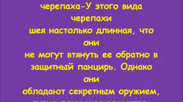 Необычные животные мира смотреть онлайн