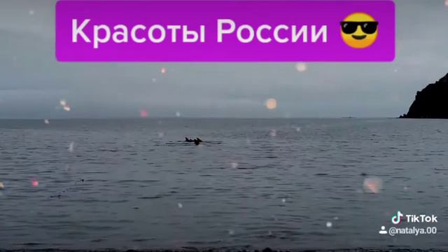 Касатки Хабаровский край смотреть онлайн