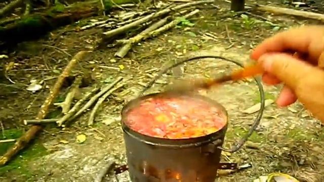 О ПОХОДНЫХ ПЕЧКАХ- ЩЕПОЧНИЦАХ смотреть онлайн