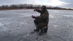Ловля Белой Рыбы в Глухозимье на р Дон Зимняя Рыбалка на Дону Рыбалка 2021 со Льда Зимняя Удочка