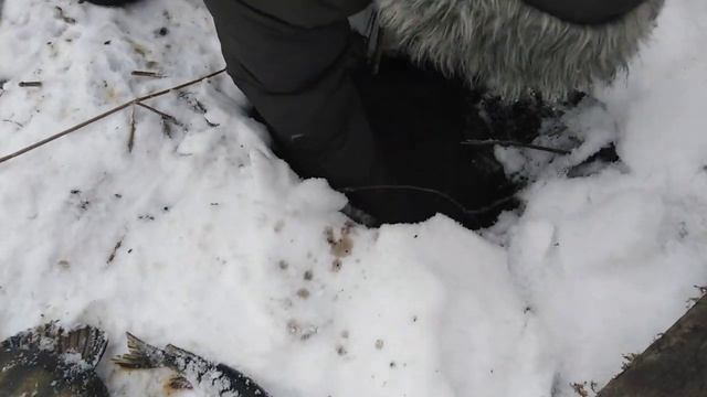 Жена ловит рыбу смотреть онлайн