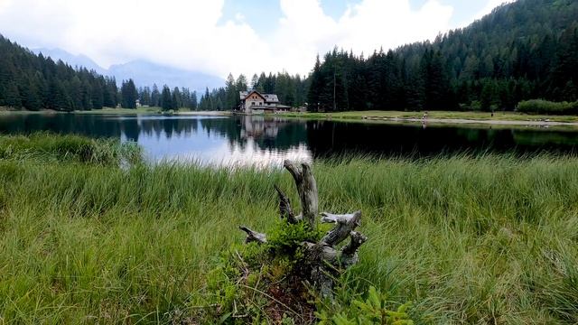 Вечер на Озере I Сон, расслабление, снятие стресса I Пение птиц и сверчков. смотреть онлайн
