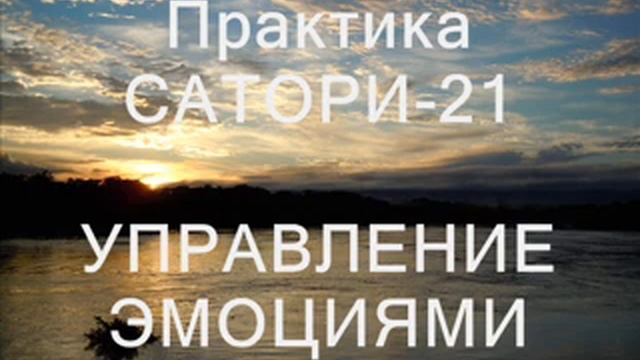 САТОРИ-21, вебинар5, управление эмоциями смотреть онлайн