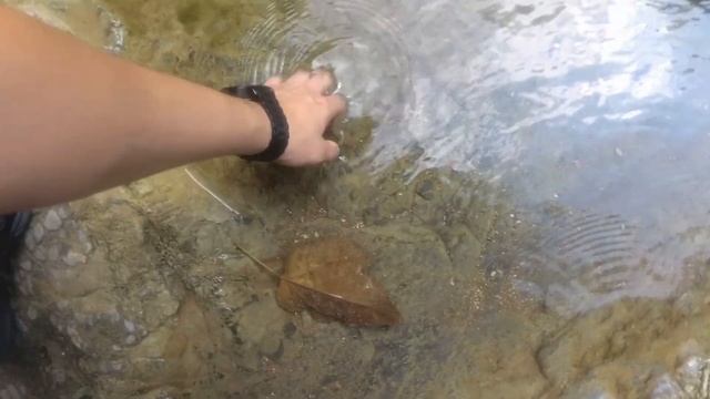 Экшн-камера YI 4K Action Camera. Экшн-камера от Xiaomi смотреть онлайн