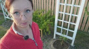 Видео привет с 6 соток 15 мая 2023 года