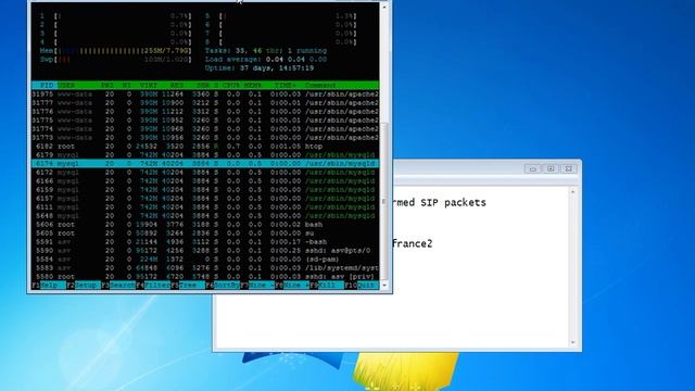 VoIP Security. StarTrinity Penetration Testing 02 - Kamailio - DoS attack смотреть онлайн