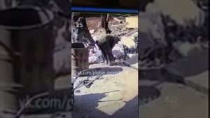 Казахстанская жесть взорвался снаряд в  руках на металломе