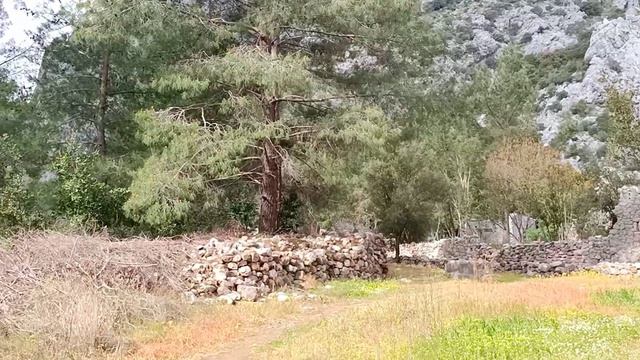 Античный Олимпус в Чиралы смотреть онлайн