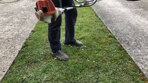 Stihl FS 100