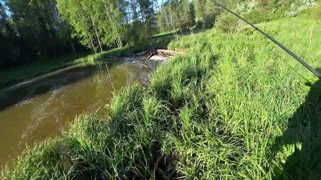 Пошел на рыбалку нашел карту ВТБ24 смотреть онлайн