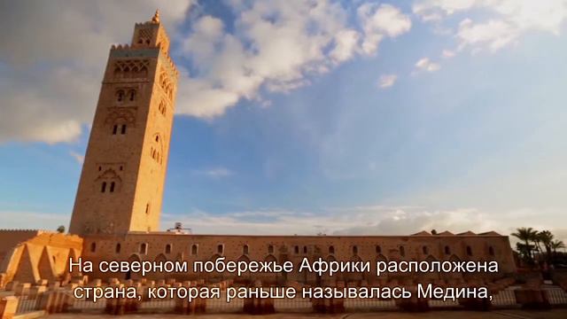 Состав Сока Нони. смотреть онлайн