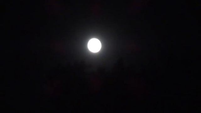Catch a falling star and put it in your pocket... смотреть онлайн