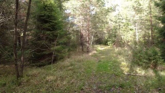 Заброшенная Автобаза Часть 1/Московская область смотреть онлайн