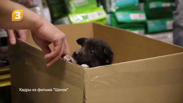 Юниор смотреть онлайн