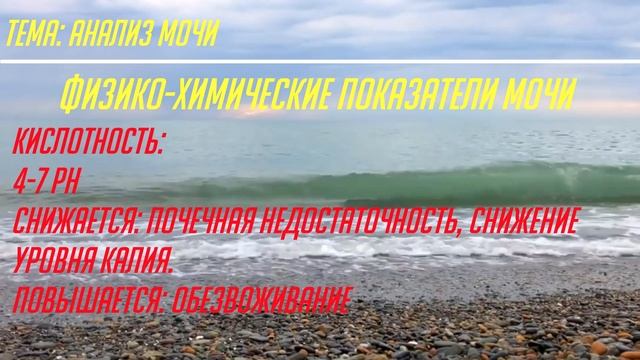 Анализы студенту медику. Анализ мочи. смотреть онлайн