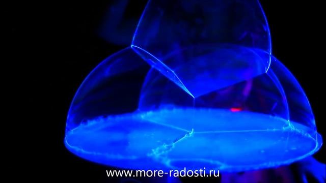 Неоновое шоу мыльных пузырей смотреть онлайн