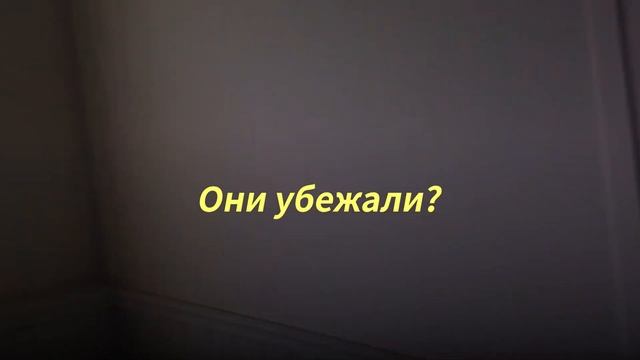 12 Обезьян Устроили в Доме Такое, что Туристы Могли Только в Шоке Наблюдать смотреть онлайн