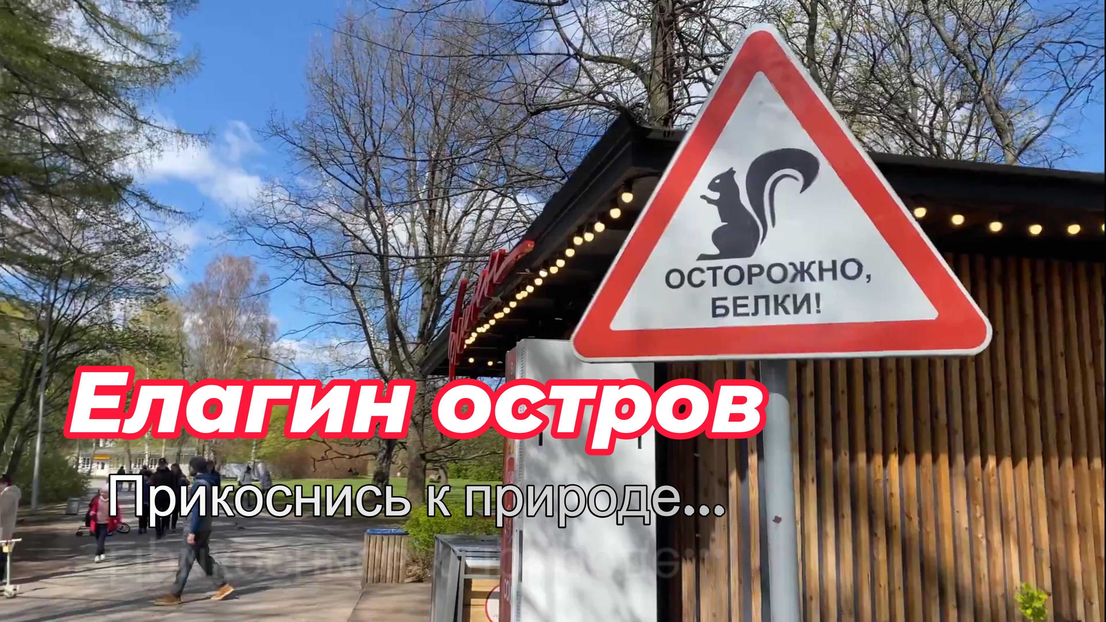 Памятник природы. Елагин остров - отличное место для отдыха с семьей в Санкт-Петербурге смотреть онлайн