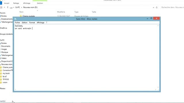 Classe Scanner en JAVA : Utilisation pour lecture d'un Fichier. смотреть онлайн