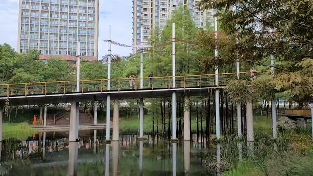 China Travel, Walking In Yichang|Yangtze River, 2021