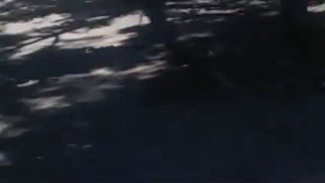 пошел дольше смотреть мониторы смотреть онлайн