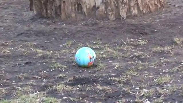 Церковь Воскресения Словущего на Успенском Вражке смотреть онлайн
