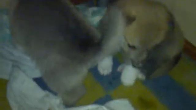 08 04 18 Нам 24 дня