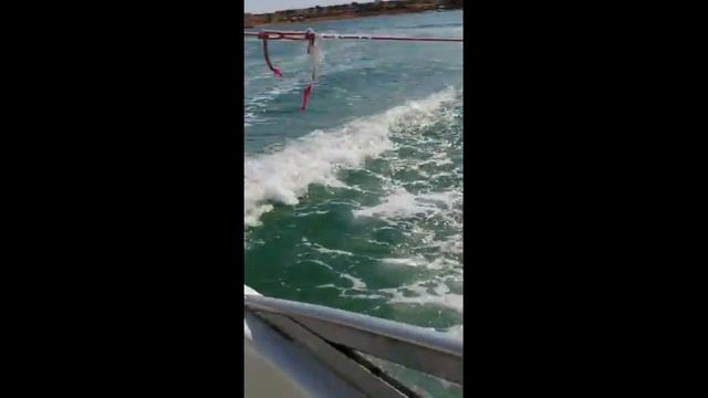 В Египет зимой.Мои дети на отдыхе в Шарль Эль Шейхе. смотреть онлайн