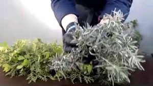 Украшение на Вербное