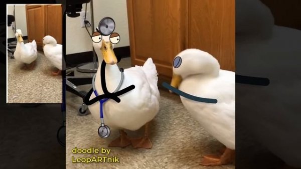 Doodles by LeopARTnik - Life is better with doodles