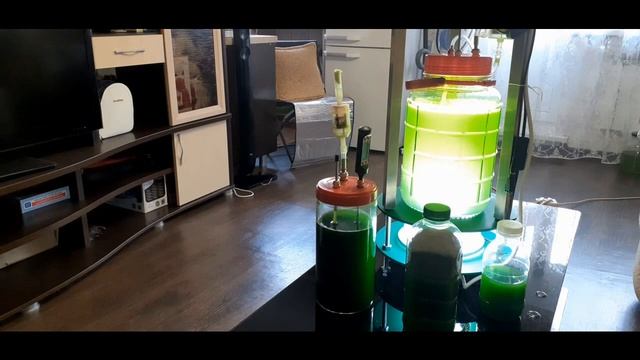 Хлорелла за 24 часа смотреть онлайн