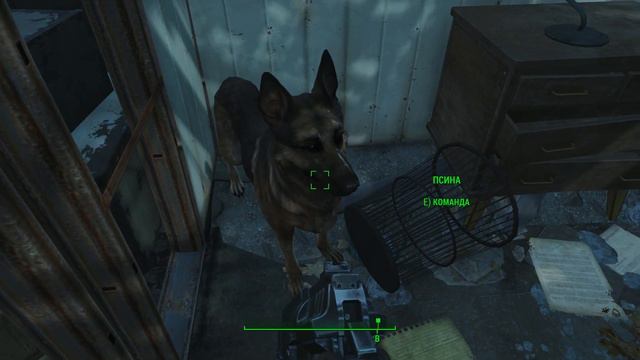 Fallout 4 - Dog teleport (Funny Moments Glitches and Bugs) смотреть онлайн