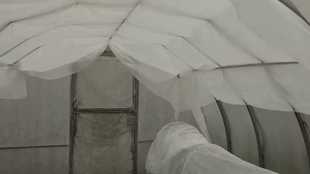 Чтобы не горела рассада