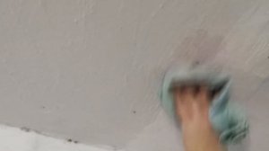 Борьба с грибком (плесенью) на стенах в жилом помещении