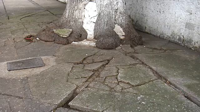 RESTAURACION ATRIO SAN JOSE CD HIDALGO смотреть онлайн