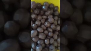 Варенье из молочных грецких орехов.